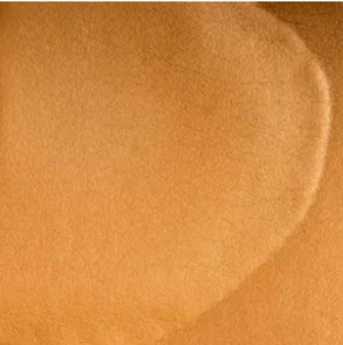 Pro Tan Clarino Liner